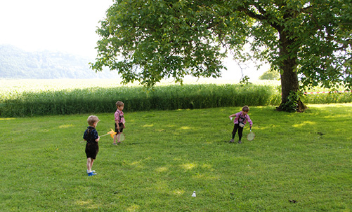 bild1