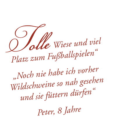 zitate_seite4